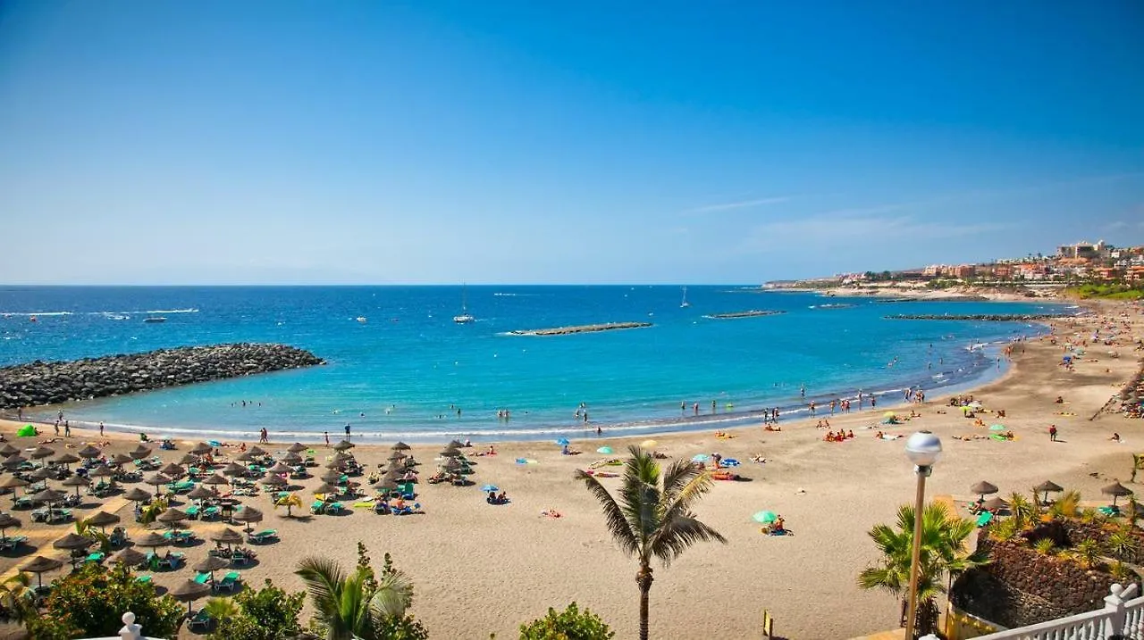 El Cardon Las Vistas - Tenesol Rentals Playa de las Americas  Spanien